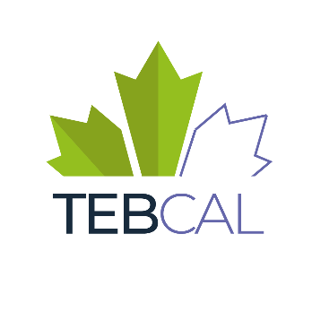 logo tebcal